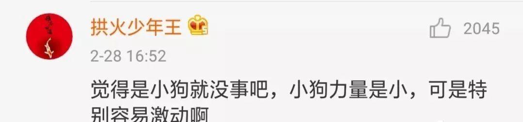 泰迪没吼也没咬，这位狗主人却赔了20万！只因这件事情没做好…