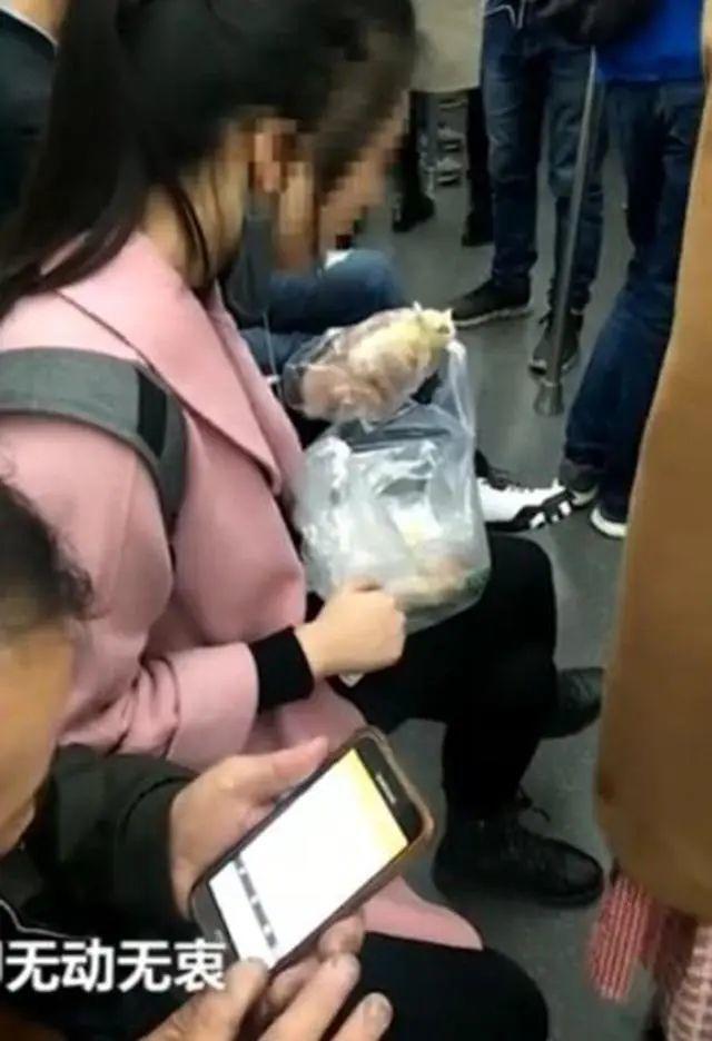 今天起，正式实施！以后搭地铁不可以做这些事情！