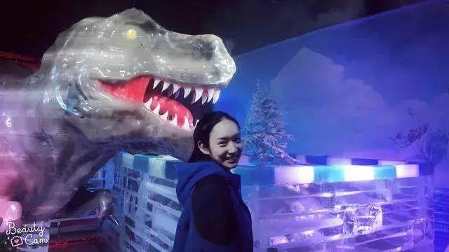 9元/年卡！网红打卡圣地冰雪世界无限玩！节假日不加收！恐龙世界冰雪+飘雪主题日........."