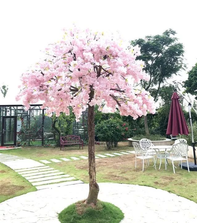 东莞最新网红休闲胜地~12.8元抢东江印象生态园观光票，海上丝路长廊、印象风车、孔雀观赏····休闲假日！秋游拍摄~共度欢乐时光