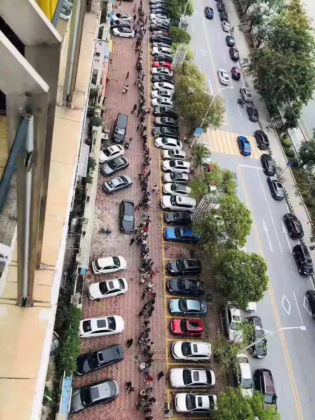通知！东莞民办中小学招生不得组织面试...