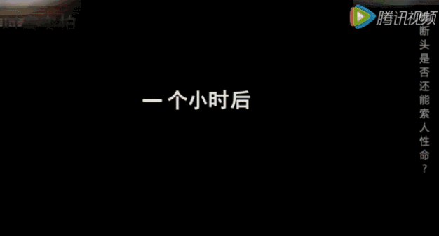 可怕！东莞多个小区公园有毒蛇出没！这7个镇街的街坊要小心！