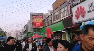 今晚，东莞人去边到料？