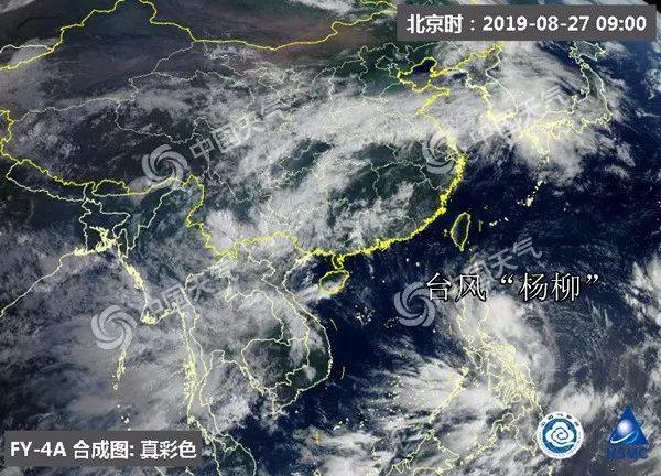 刚刚，12号台风“杨柳”已生成！13号台风即将生成！预计登陆广东！