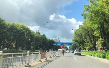 惊呆！东莞男子路上骑马“狂奔”！