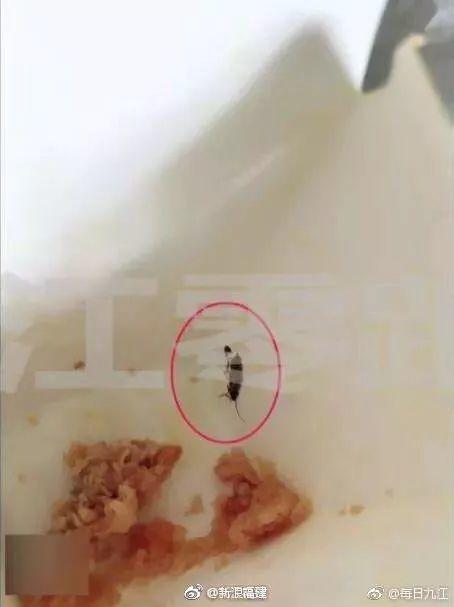 太恶心！东莞人常吃的华莱士后厨大曝光！过期汉堡、蟑螂出没，还有…触目惊心！