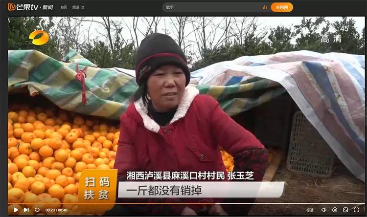 紧急！年关将至，湖南保靖4万吨富硒椪柑大面积滞销，即将烂在家里！时间紧迫，请大家帮帮他们寻找销路