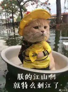 突发！台风要来了！或登陆我国！东莞天气……