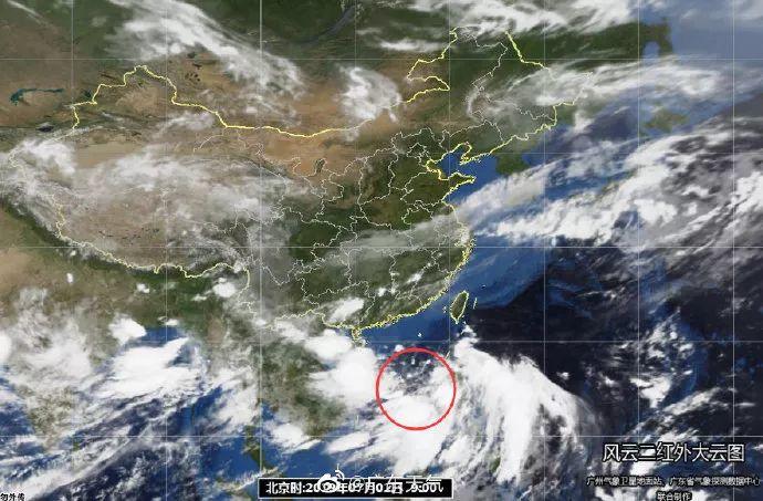 注意！台风胚胎预计今日生成，东莞多地将会有暴雨+8级大风！