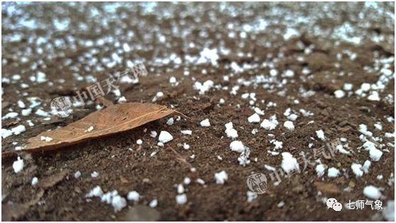 刚刚！广东下雪了！寒冷橙色预警正式生效！元旦要冻哭……
