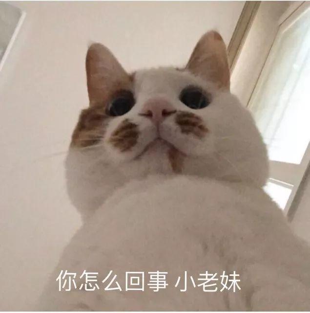 现场视频曝光！广东20多名“富婆”被抓，她们都来自这些组织！