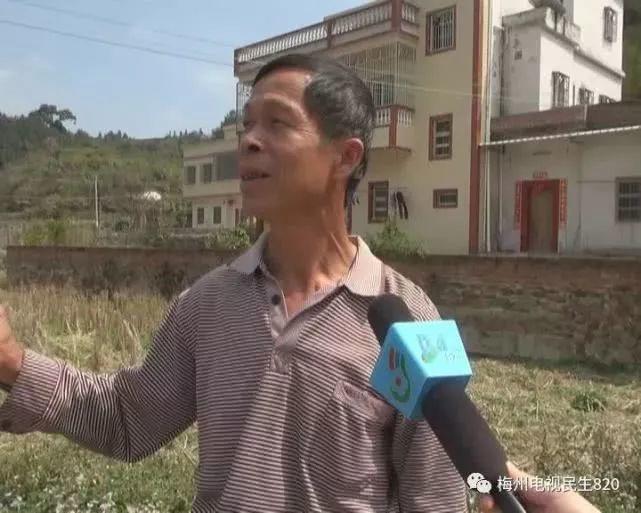 广东不明野兽再行凶！豹猫被咬死，有村民目击它被5个黑影围攻！