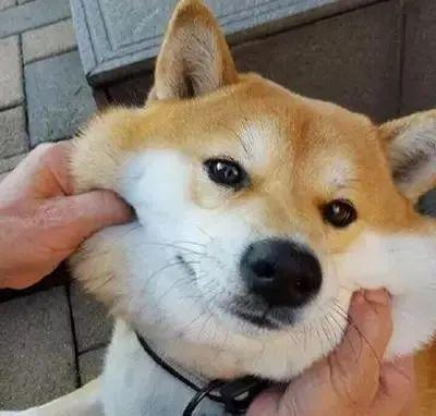重磅! 东莞这50个地方, 政府发放1000万元!还有住在这些地方的小伙伴！也要发达啦！