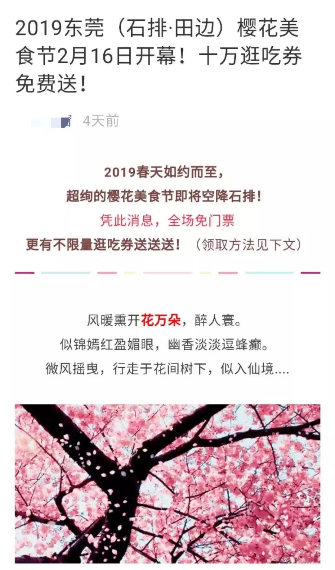 刷爆朋友圈的石排樱花美食节，你去了吗？网友到现场发现…