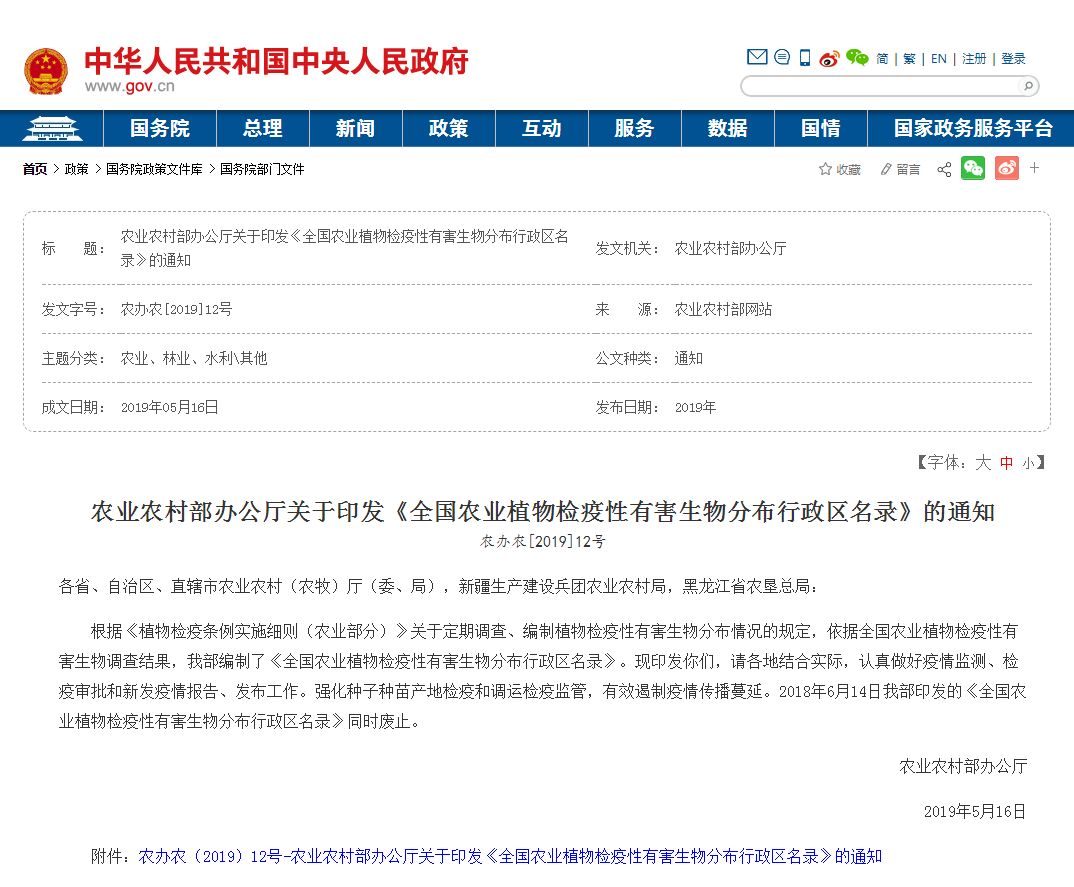 东莞人注意！清明将近，路边见到这种小土堆千万别碰！已有多人中招！