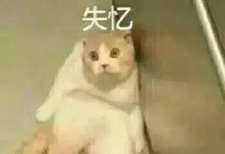 “国庆返程的行李箱”又上热搜,最后一个亮了!