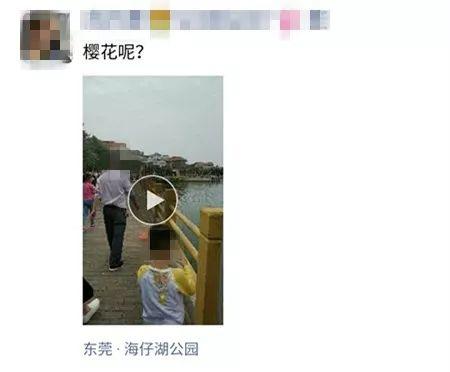 刷爆朋友圈的石排樱花美食节，你去了吗？网友到现场发现…