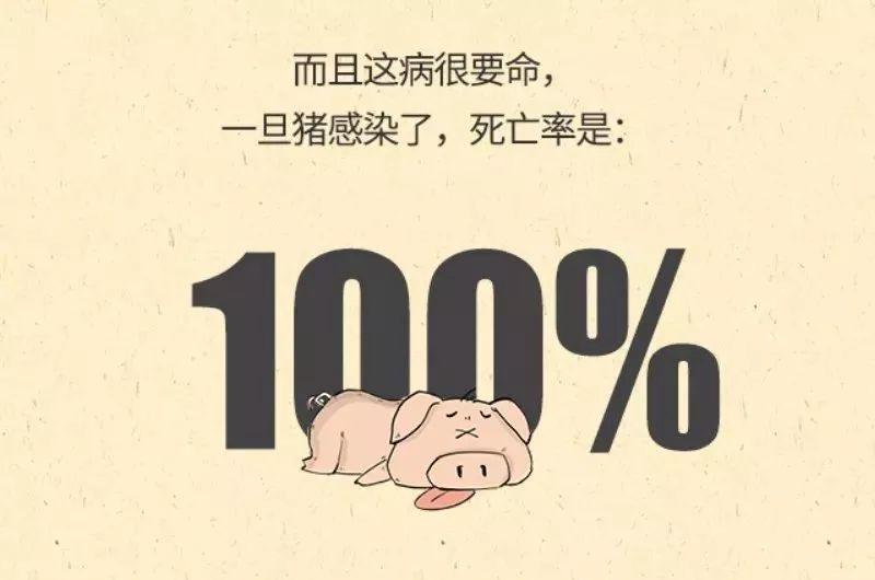 朋友圈里的“猪瘟”请刹车！权威消息来了！东莞人可以放心啦！