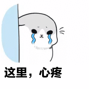 千万别得罪女人! 这位粤S*****的车主, 你的锐志要被废了!