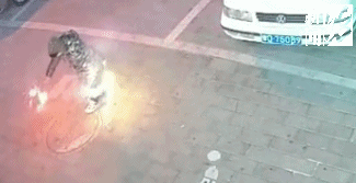 轻轻一点，男孩亲手把自己炸进ICU…东莞家长要当心！