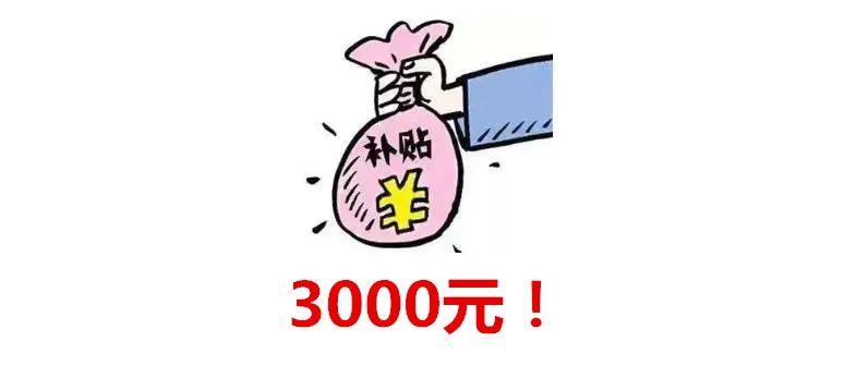 每人3000元! 这条村发放疫情补助金! 网友: 什么时候到我?