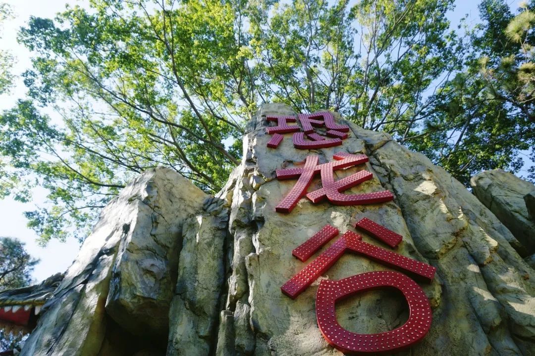 疫情结束后，想和你一起去看隐贤山庄的春天....