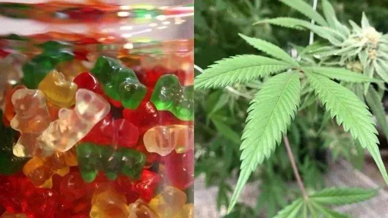 警惕！这些饼干、糖果、饮料……竟然都是新型毒品，千万别吃！
