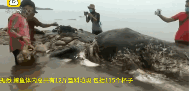 再见了，塑料袋！