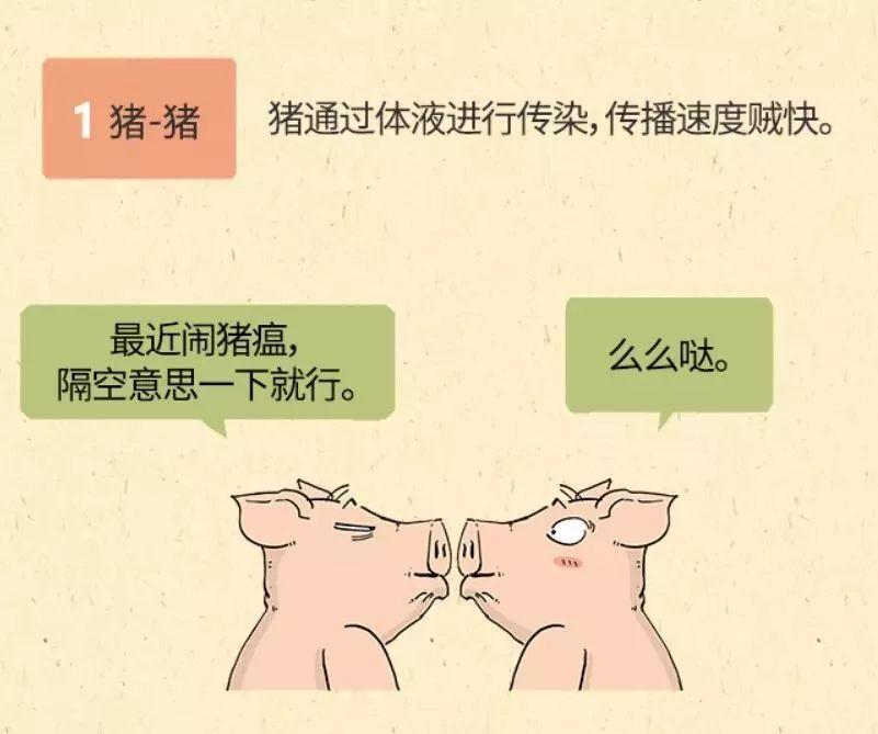 朋友圈里的“猪瘟”请刹车！权威消息来了！东莞人可以放心啦！