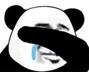 泰迪没吼也没咬，这位狗主人却赔了20万！只因这件事情没做好…