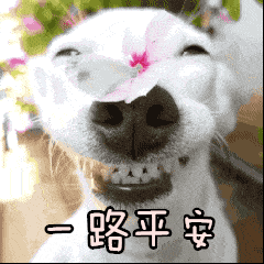 紧急！车牌号为“粤S”的车主！您已经被交警盯上了！