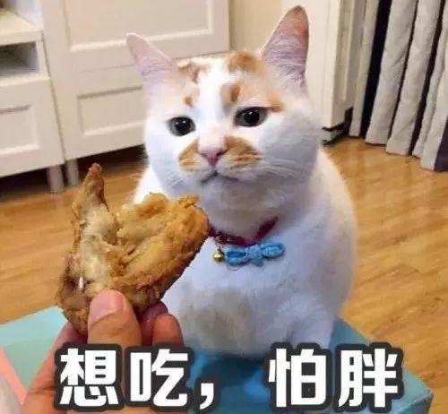 在东莞，过年出游千万“别去”这些地方！否则......