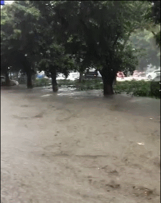 紧急！11号、12号台风将生成！未来几天10级大风+雷暴雨+38度开水套餐来袭！
