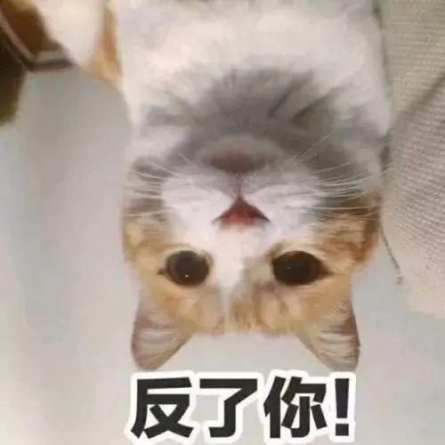 栽了！东莞精神小伙偷完东西，竟留下这样的视频表示要低调……