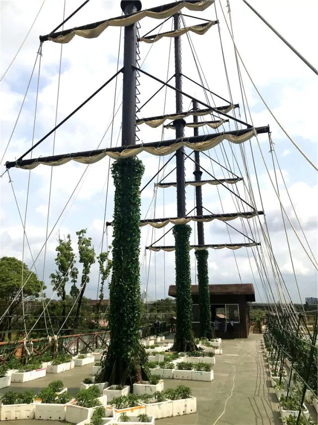 东莞最新网红休闲胜地~12.8元抢东江印象生态园观光票，海上丝路长廊、印象风车、孔雀观赏····休闲假日！秋游拍摄~共度欢乐时光