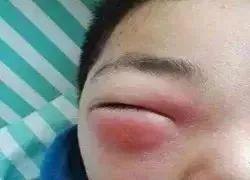 吓哭！太多多多……了！最近东莞人被吓得不敢开灯，只因它们又来轰炸了！