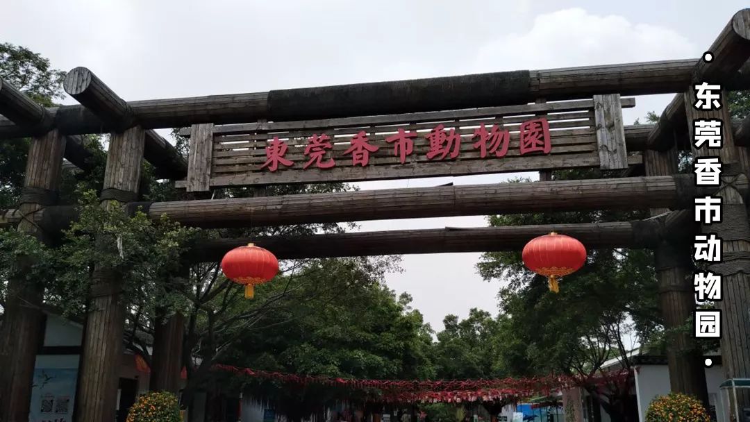 “你有什么资格说东莞不好？！”