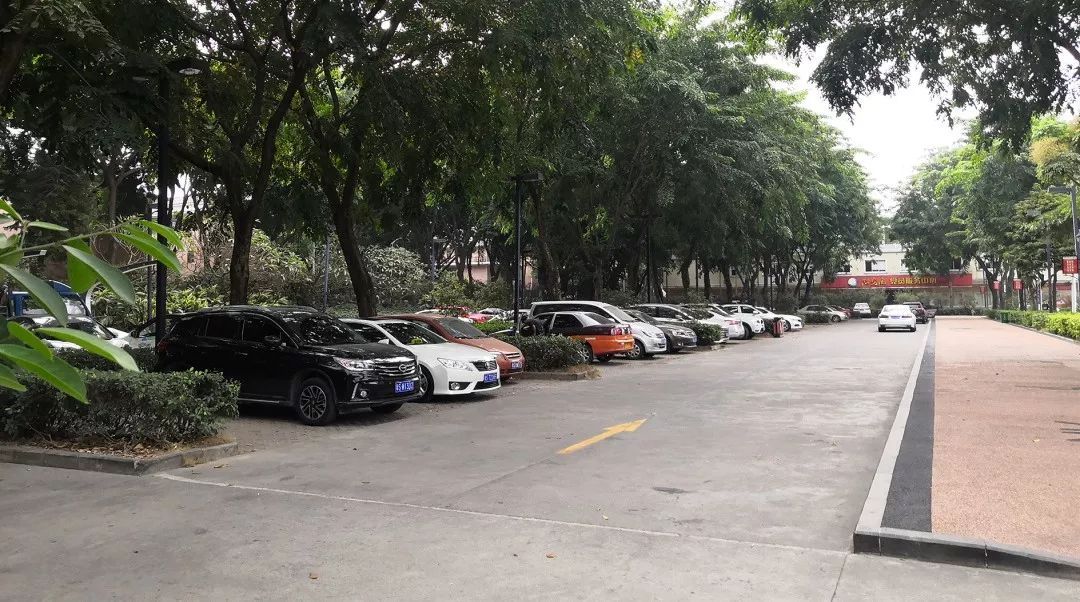 @东莞车主！下个月开始，停车费可能要涨价啦！