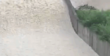 6级风王“利奇马”已致18人遇难！14人失联！刚刚！东莞暴雨橙色预警生效…"