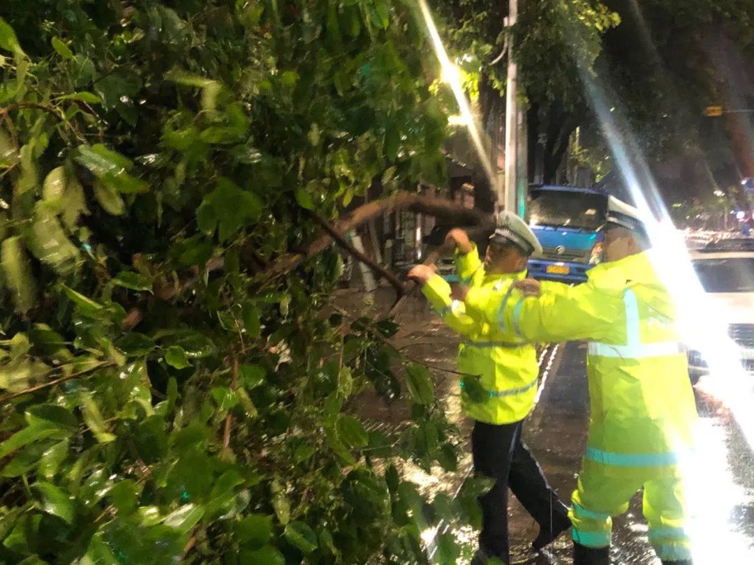 突发! 东莞昨晚狂风雷暴雨的4小时, 有人被大树压着, 有人被困, 有人......