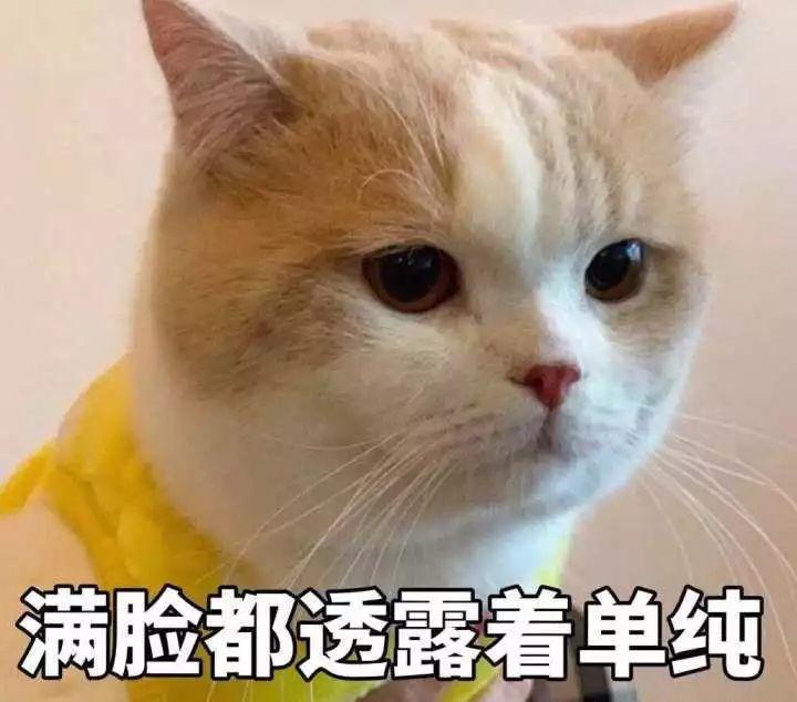 紧急扩散！新型注销网贷骗局来了，很多人已接到诈骗电话！
