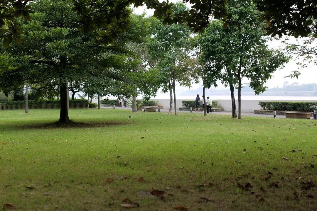 【东莞·5星汇景自助餐】爆款来袭~99.9元东莞汇景酒店雅琴西餐厅自助晚餐~日料、刺身、海鲜、中菜···100+菜款海量任吃！