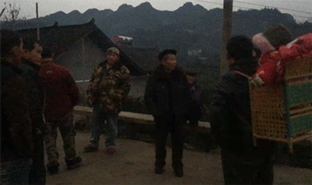 紧急！年关将至，湖南保靖4万吨富硒椪柑大面积滞销，即将烂在家里！时间紧迫，请大家帮帮他们寻找销路