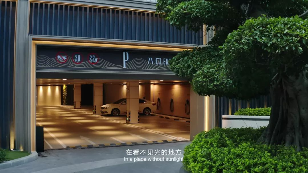 是什么让美女建筑师忘情于此？点击开启动人心魄的奥秘......