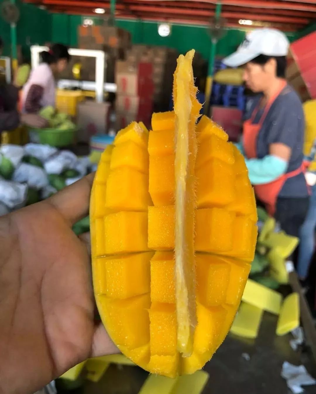 9.9超划算！越南青皮甜心芒黄金果肉！细嫩爽滑，回购率99%~"