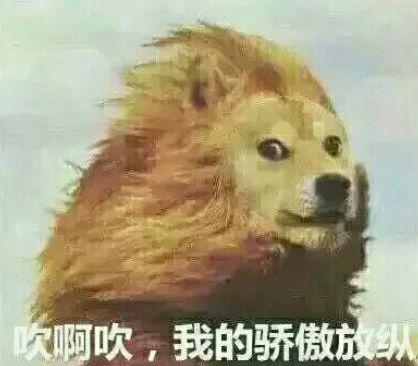 好！大！的！风！冷空气正在深入，你的发型还好吗？
