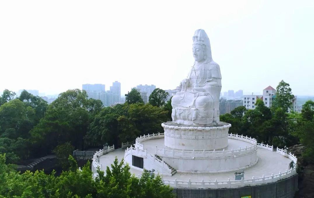 疫情结束后，想和你一起去看隐贤山庄的春天....