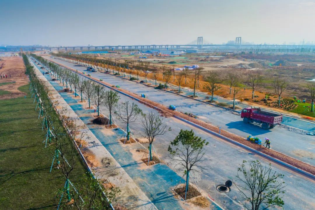 重磅！东莞这个新区6条主干道本月底建成通车！