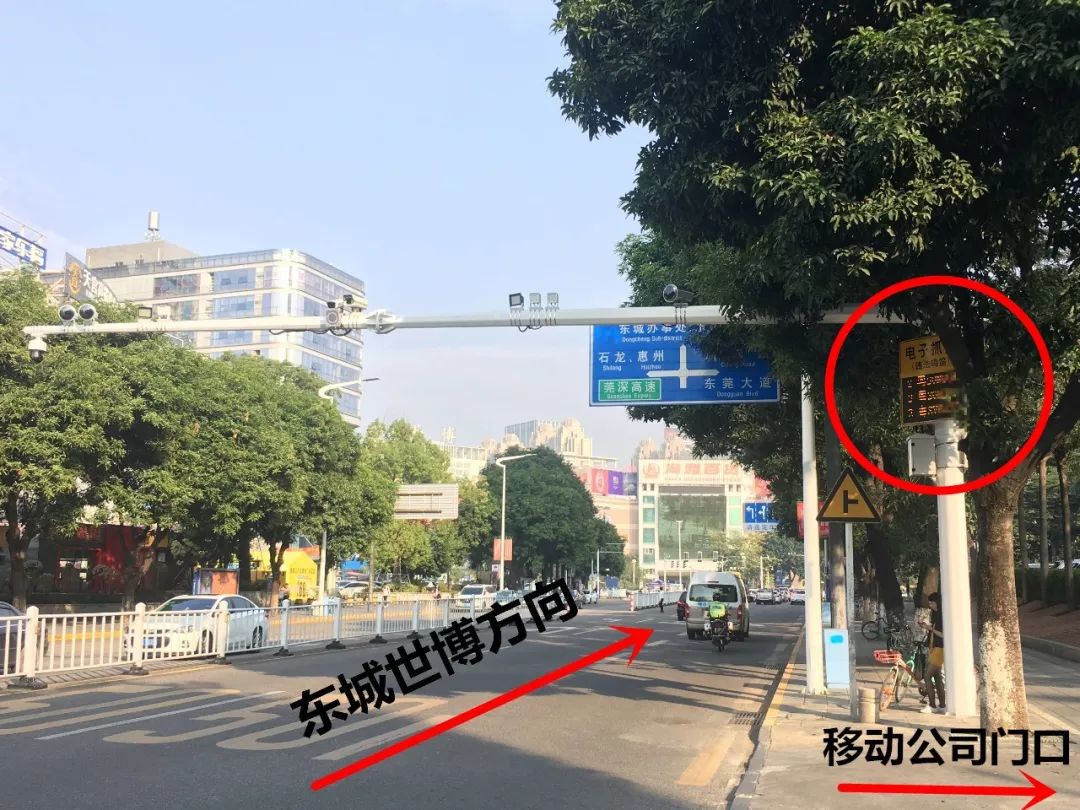 粤S的车主哭了！已有人被罚500元！
