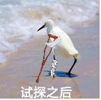 随意变道罚500！打灯违规罚300！粤S去这里要小心！